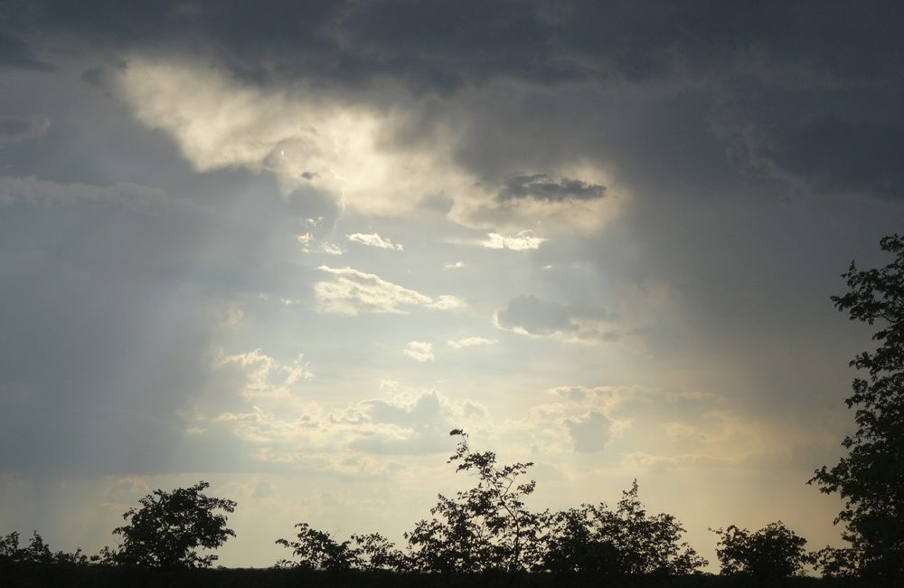 DSC02073